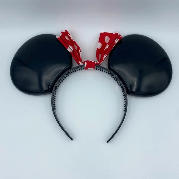 Disney | Accessories | Disney World 5th Anniversary Vault  display picture 2